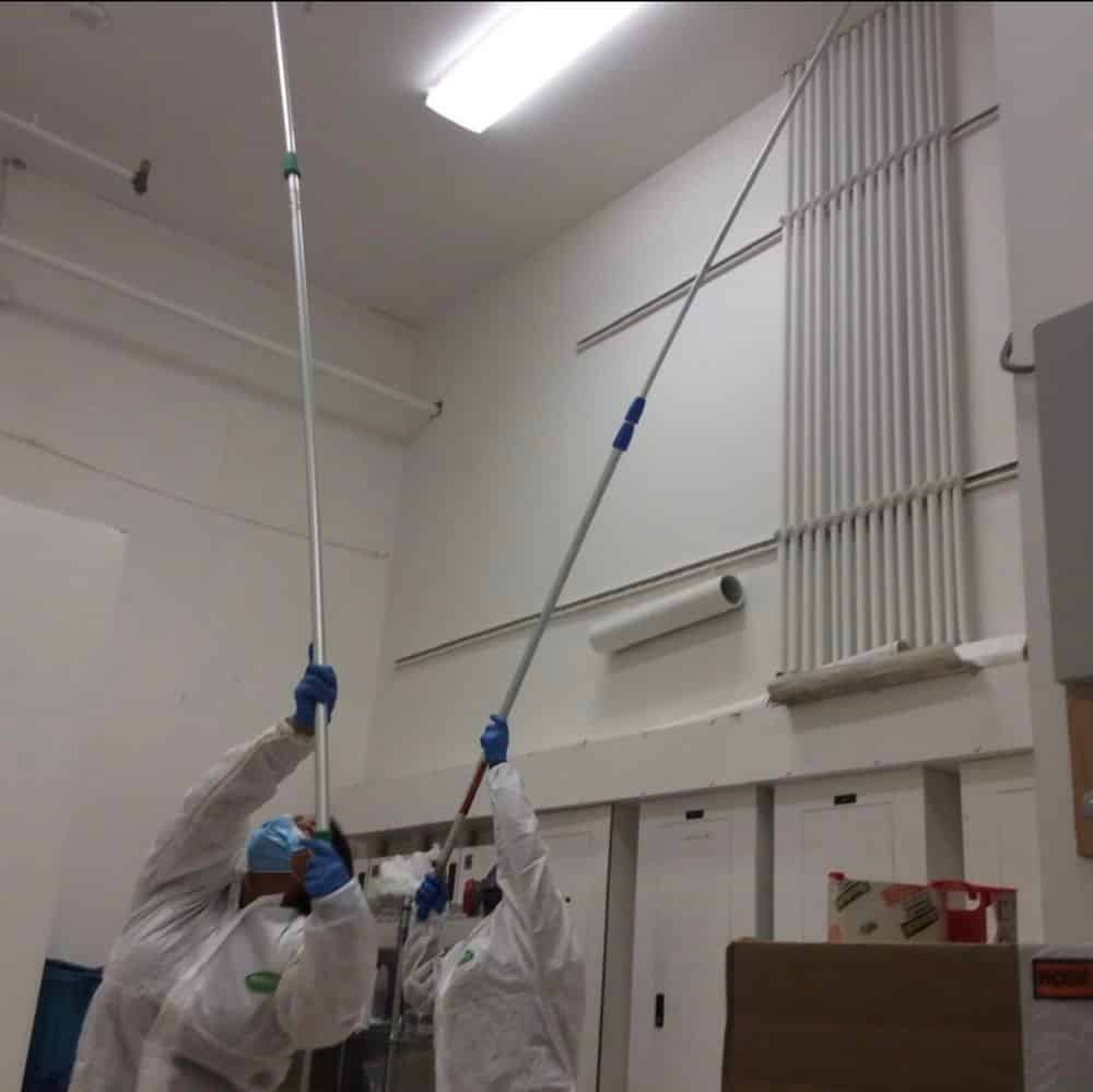 Mold Remediation Services image