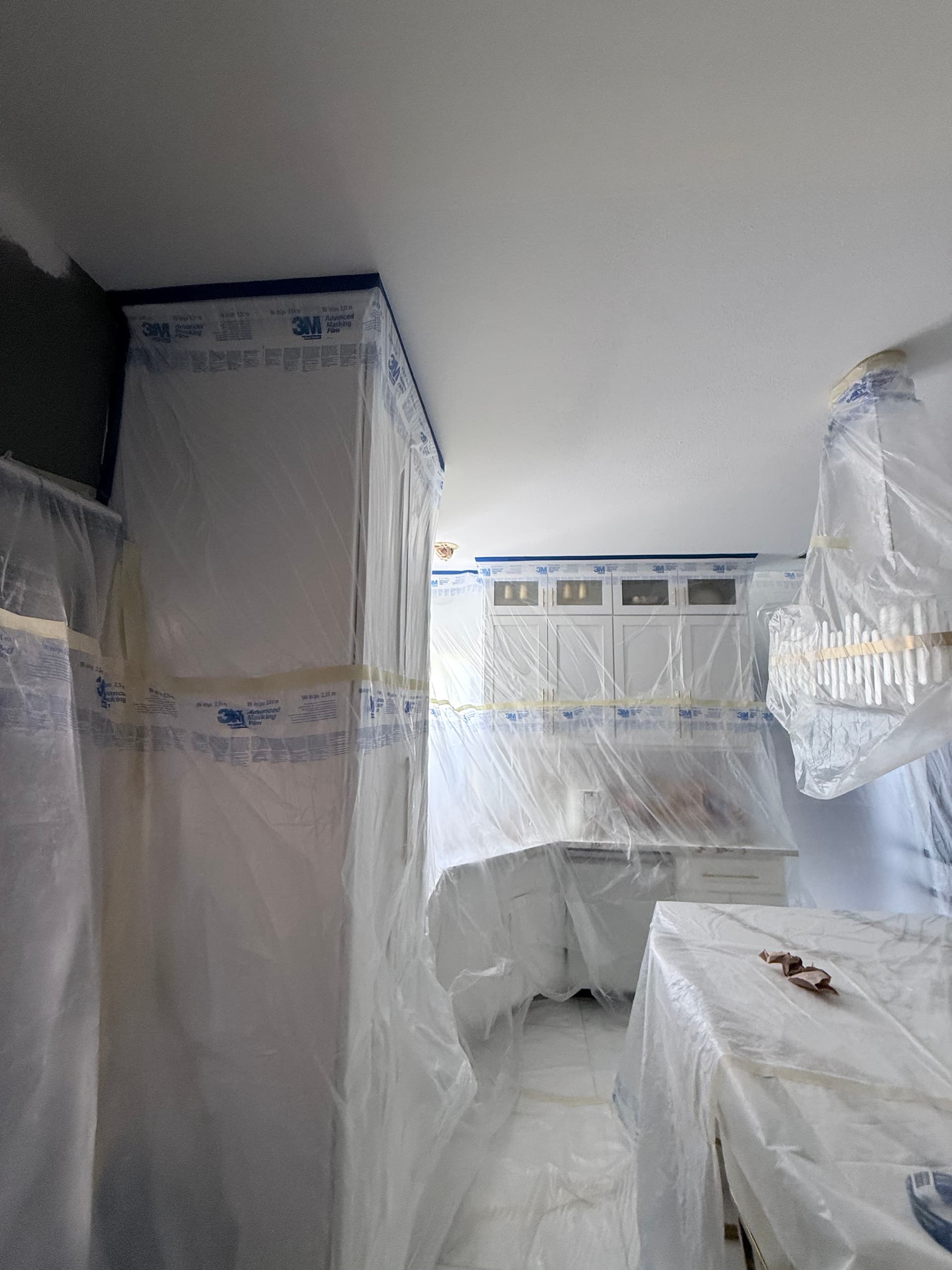 Mold in Your Walls or Ceiling? We Handle It All