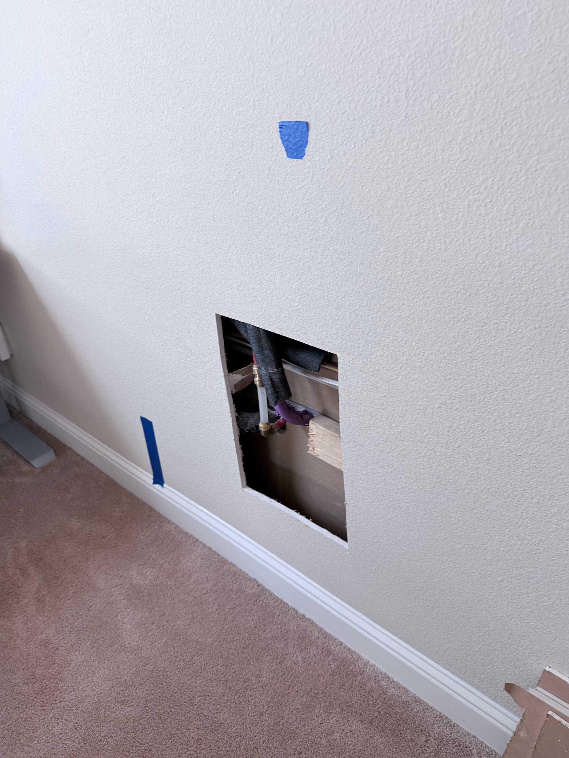 Mold in Your Walls or Ceiling? We Handle It All