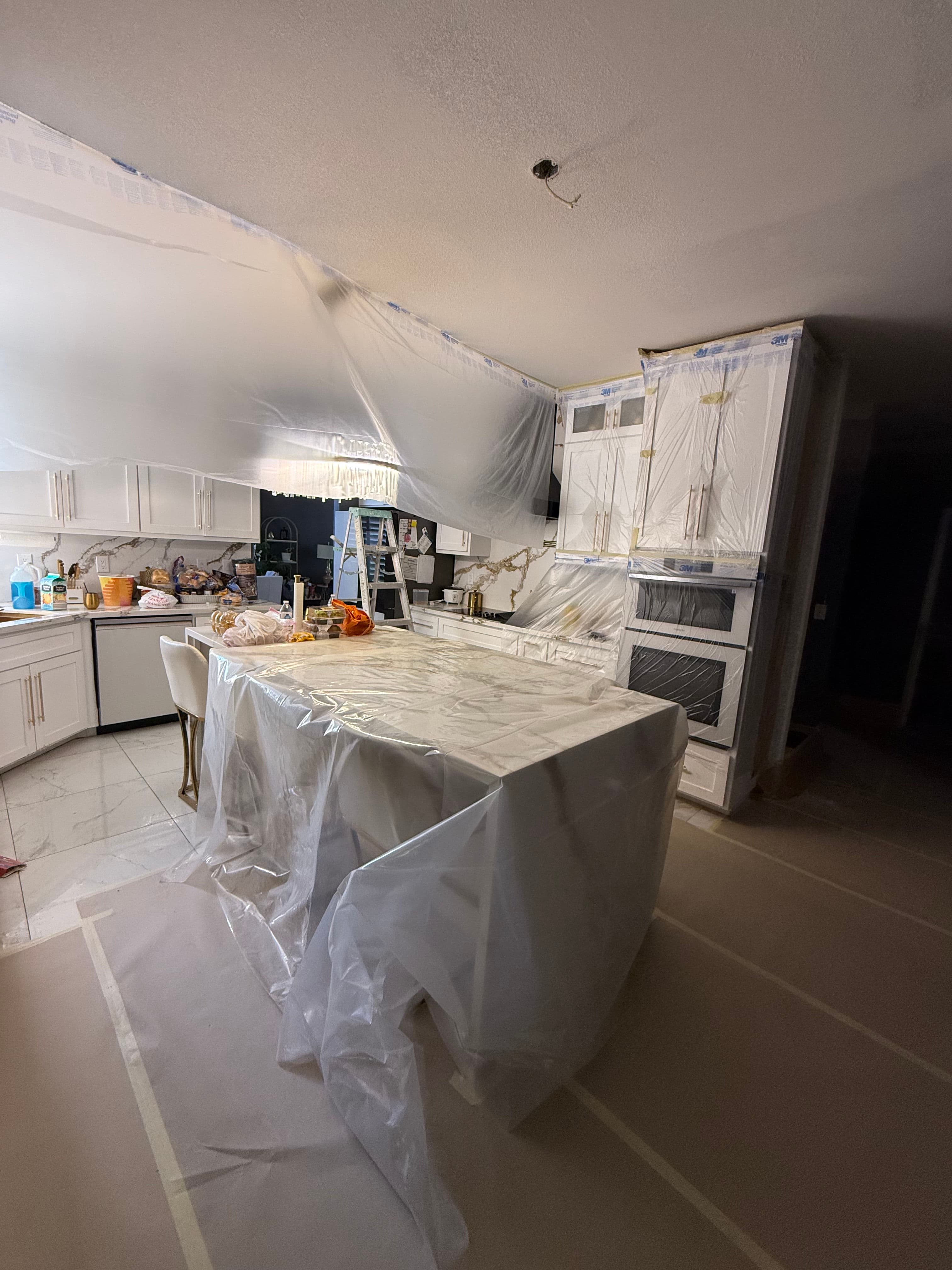 Project Mold in Your Walls or Ceiling? We Handle It All image
