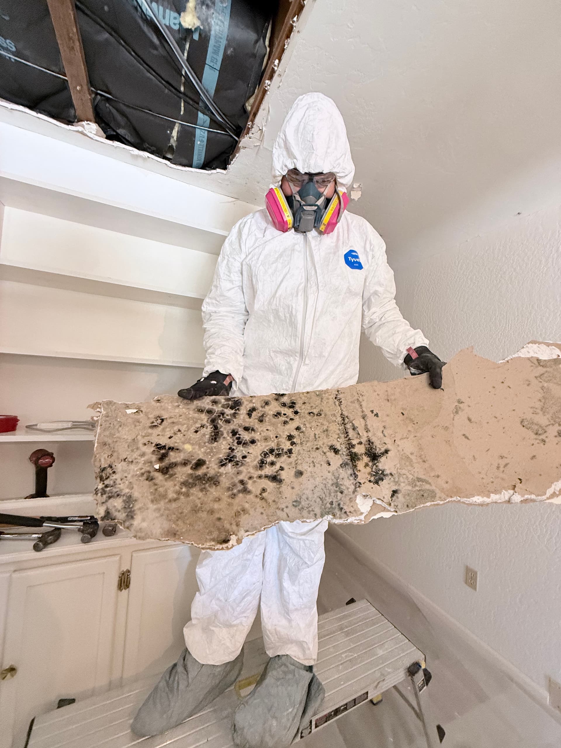 Gallery photos for Mold in Your Walls or Ceiling? We Handle It All: Image #8